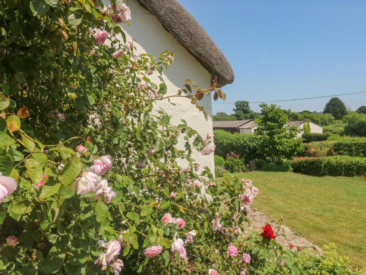 Вилла Langstone Farm Окхемптон Экстерьер фото